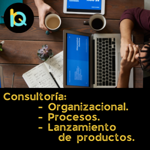 Consultorías Consultorías