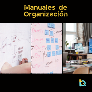 Manual Organización IQB