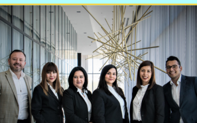 ¿Cuál es el objetivo de la consultoría?