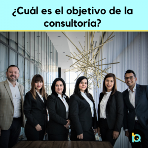¿Cuál es el objetivo de la consultoría?